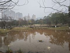 -沐仙湖湿地公园