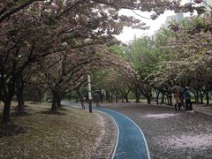 -苏州河梦清园环保主题公园