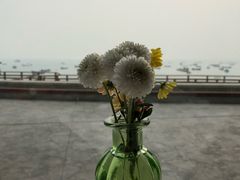 -悦港(悦港酒店)