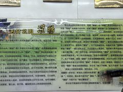 -杨记灌肠(食品街店)