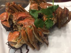 -呼吸森林·生态农庄农家乐私房菜