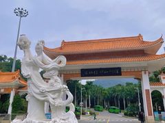 -深圳仙湖植物园