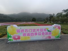 -广州市石门国家森林公园