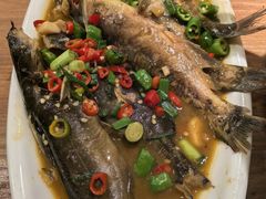 红烧汪刺鱼-7017浙菜•建德味(中财店)