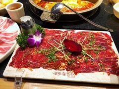 -潘小辣鲜肉老火锅