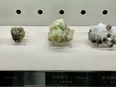 -中国地质博物馆