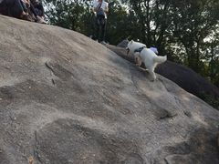 -火炉山森林公园