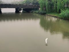 -南翔镇银翔湖公园