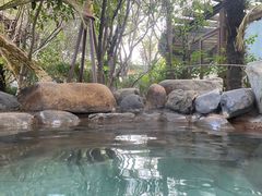 -张家港金凤凰度假村温泉