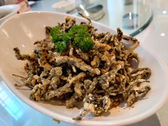 -解家河南菜(北环路店)