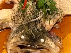 -九朝会昆曲·宴(望京店)