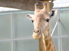 -石家庄市动物园