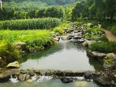 -太阳湾风景区