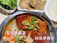 -浩爷羊蝎子火锅(望京店)