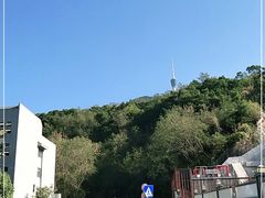 -梧桐山风景名胜区