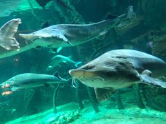 -华夏文旅西安度假区