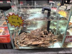 -万龙洲海鲜(大兴绿地缤纷城店)