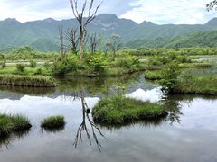 -大九湖
