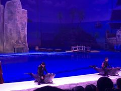 -华夏文旅海洋公园