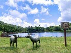 -海南热带雨林国家公园吊罗山景区