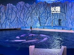 -珠海长隆海洋王国
