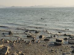 -深圳湾公园(南山区)
