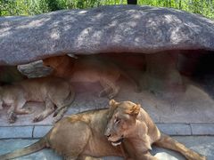 -北京野生动物园