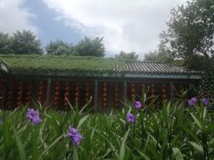 -玫瑰小镇