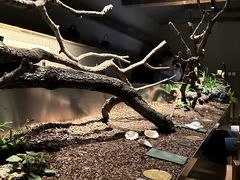 -曲廊院(东四十一条店)