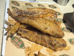 -蚝堡·生蚝海鲜烧烤物种起源•海肠捞饭(刘公岛店)