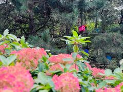-云峰山自然风景区