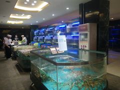 水产区-徐记海鲜(阿波罗店)