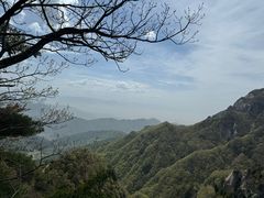 -王顺山国家森林公园