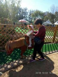 -萌宠亲子动物乐园(槐房万达店)