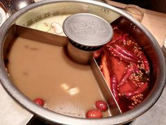 -巴奴毛肚火锅(七宝领展广场店)