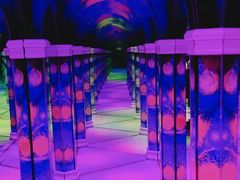 -天津梵高星空艺术馆(天河城旗舰店)
