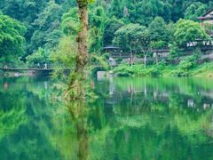 -峨眉山风景名胜区
