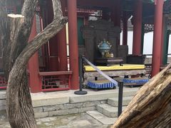 -宫事颐庭·老佛爷贵寿下午茶(颐和园店)