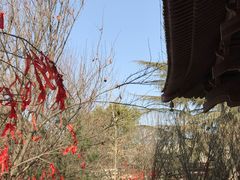 -西安青龙寺遗址景区
