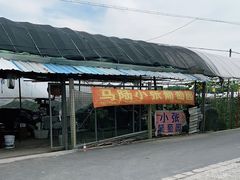 -马陆小张葡萄园农家乐