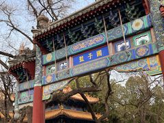 -北京国子监胡同
