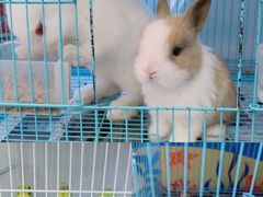 -凯德广场(西城店)