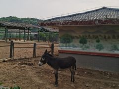 -无锡动物园·太湖欢乐园