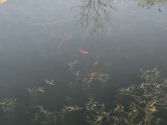 -前关湿地公园