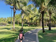 -三亚海棠湾万丽度假酒店