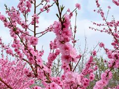 -北京金海湖景区