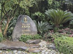 -都江堰景区