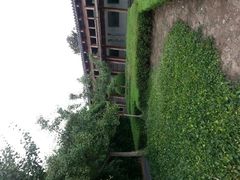 -蠡湖大桥公园