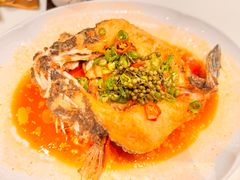 -侨美·唐荔园·40年地道粤菜