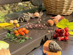 -国家植物园南园